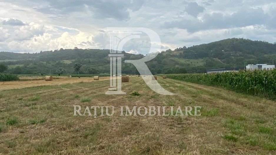 Teren Intravilan | 10.012 mp | Nușfalău | Sălaj - Poză 2