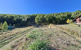 Teren 2090 mp Stefanesti-Rebreanu zona superba - Poză 8