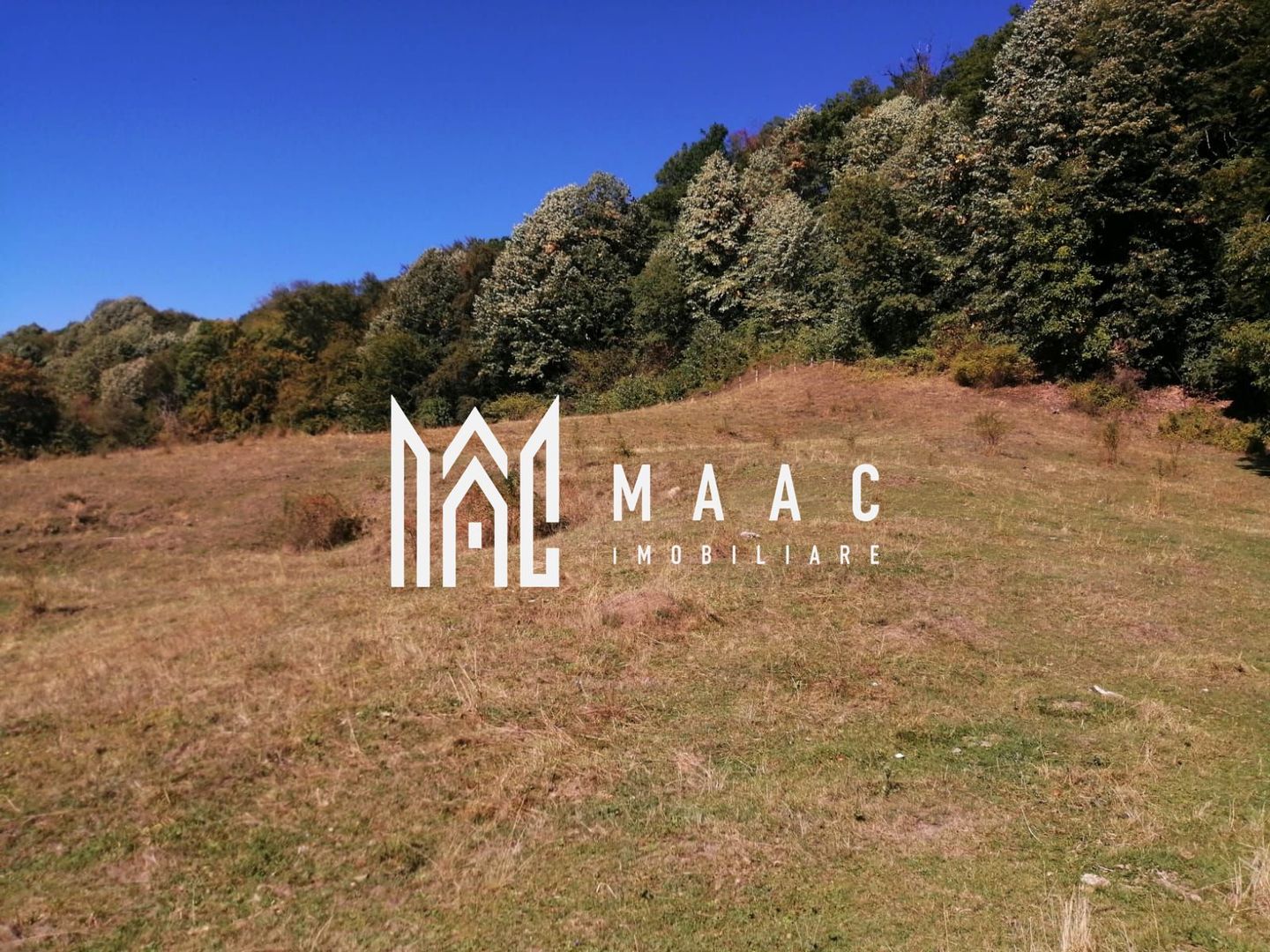 Teren Extravilan 20.000Mp I Stoenești -Vâlcea I Apă Curentă și Pădure - Poză 13