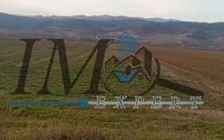 Teren intravilan de vânzare in Vintu de Jos - Poză 2