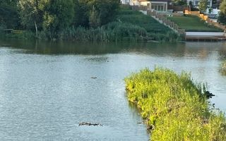 Teren cu iesire la Lacul Snagov, ponton privat cu foisor, piscina si sauna - Poză 5