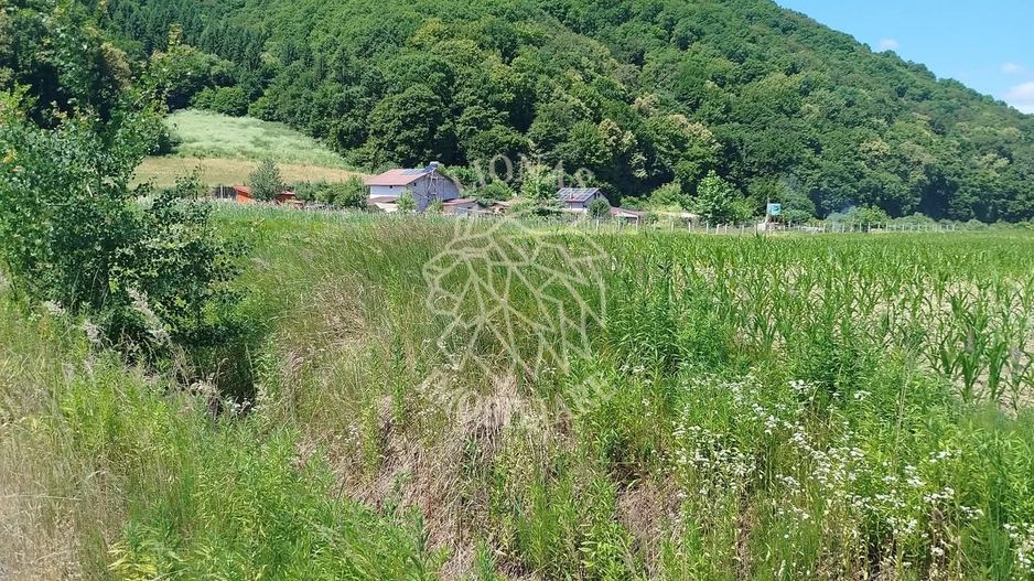 Teren 2500 mp-ideal casa, agricultura, investitie-Saratel - Poză 1