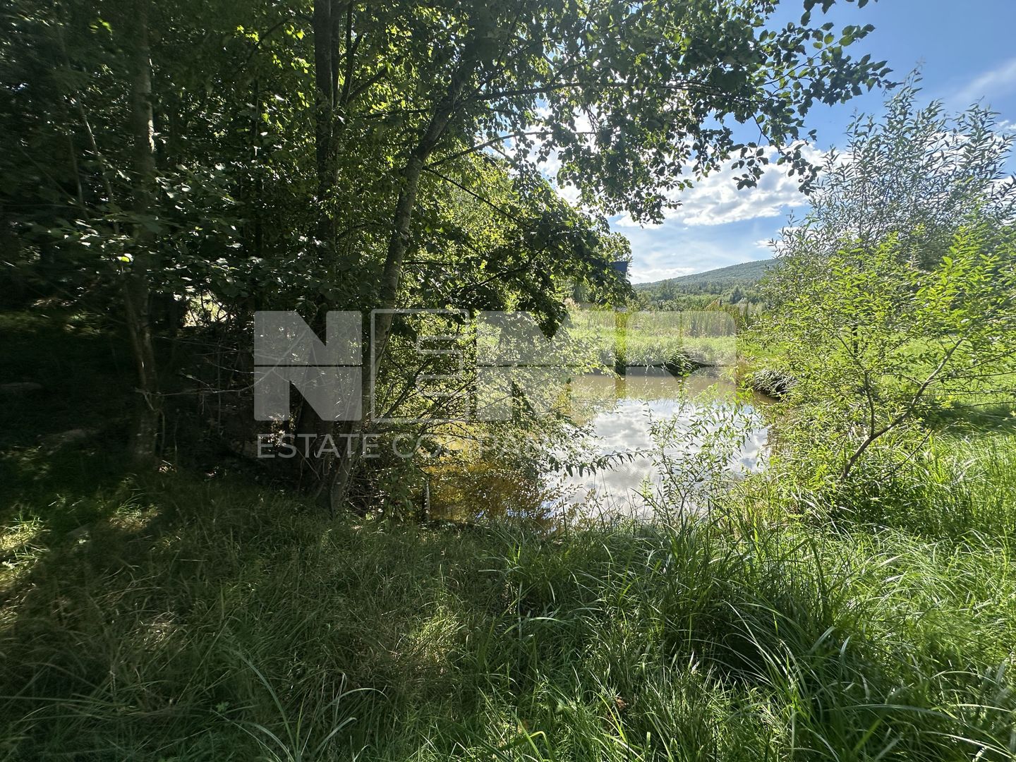 Teren 15 Ari | Cu Iaz & Terasat | Drumul Principal | 40.000 € - Poză 2