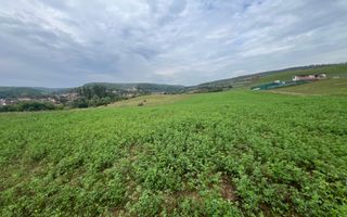 Teren | 1.500 MPU | Bradu - Poză 3