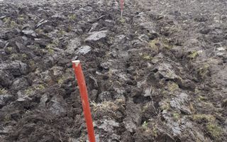 Teren de Vanzare - Gusterita - 5100mp - Intravilan - 0% Comision - Poză 6