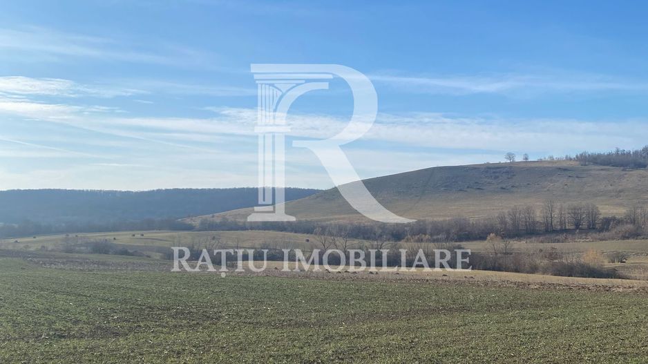 Teren extravilan de vanzare 3.900mp | Mierlau | Bihor - Poză 3