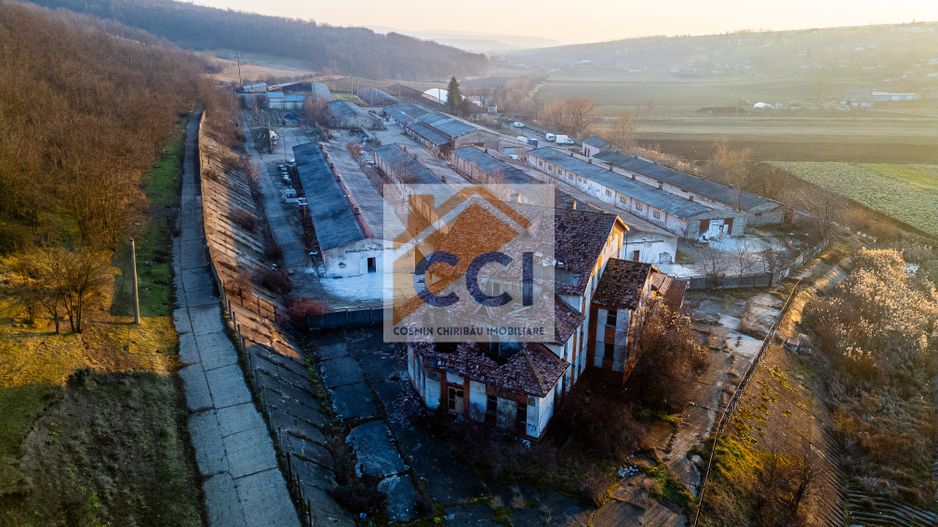Fosta Ferma a Partidului de la Horgesti - de vanzare - Poză 16