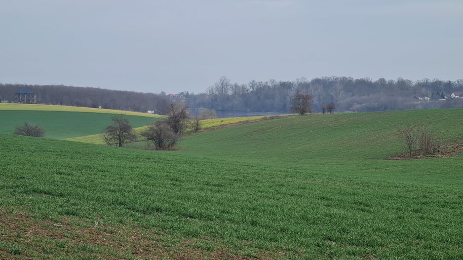 Lot 1000 mp in umbra padurii cu view la lacul academiei din Caciulati - Poză 1