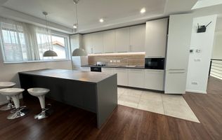 Apartament in vila cu curte-  Dumbravita