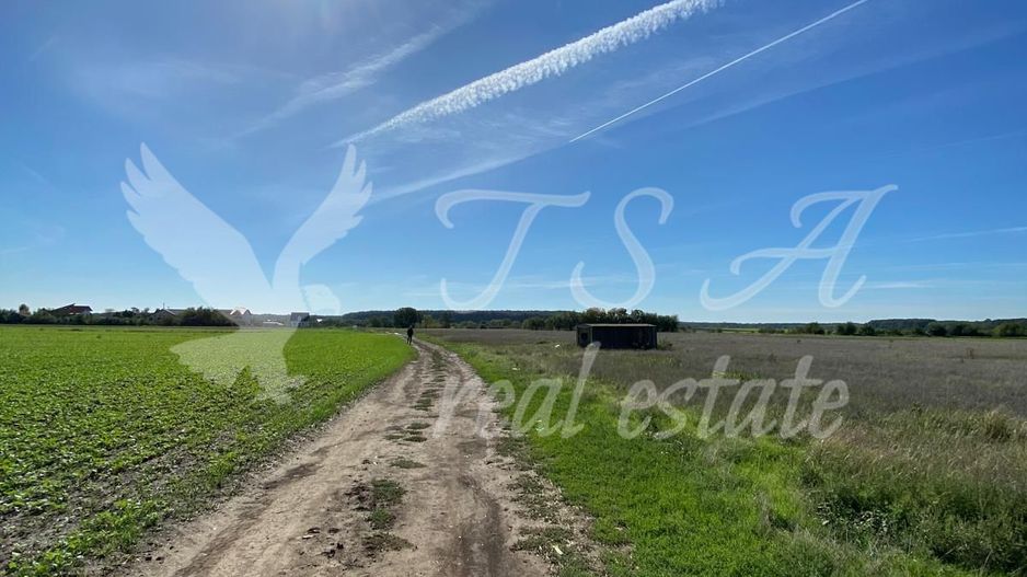 Teren Intravilan 825mp Cu dubla deschidere si Drum de servitute, Dascalu  Ilfov - Poză 11