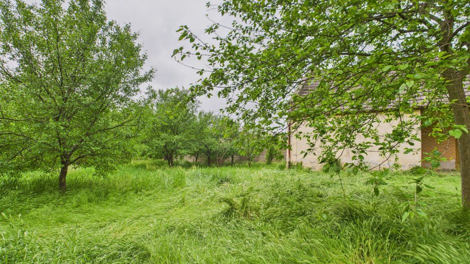 Casă de reabilitat pe teren generos- Comuna Variaș - Poză 13