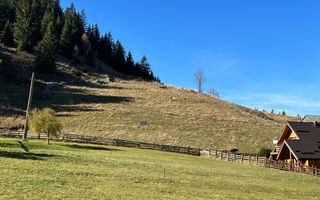 Teren Fundatica intravilan 4500 mp - Poză 14