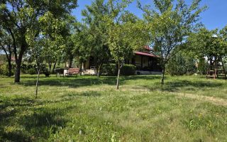 Casa individuala de vânzare | Balata – Soimus | 110 mp| Teren 5.095 mp - Poză 7