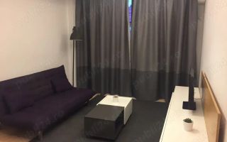 Apartament 2 camere zona Herastrau - Poză 3