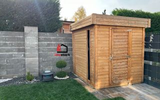 Vila superba Dumbravita - Poză 36