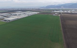 Teren de vânzare – 20.000mp – Ghimbav, lângă Parcul Industrial - Poză 9