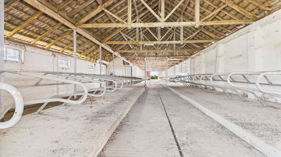 Complex industrial cu hale și teren  în Orțișoara - Poză 28