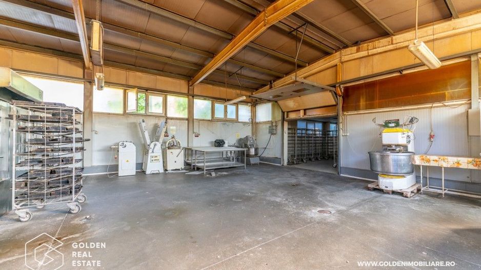 Locuinta de familie cu spatiu ideal pentru dezvoltarea unei afaceri - Poză 15