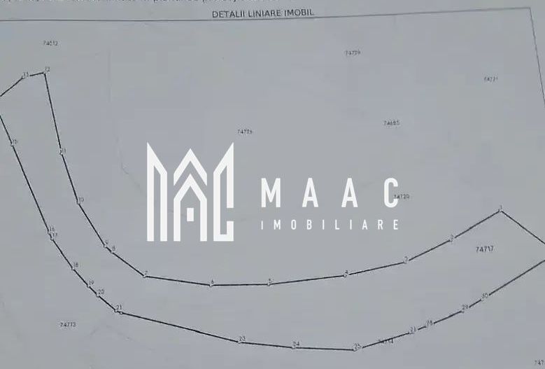 BLACK FRIDAY  I Teren cu potențial turistic I 3174 MP | TransApuseana - Poză 4