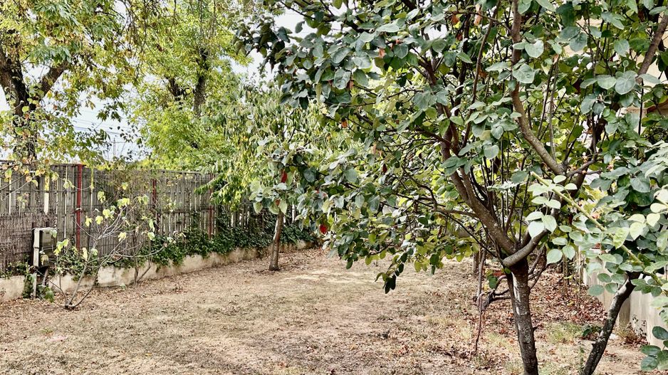 Vila Cineastului | Pipera | Drumul Bisericii | Comision 0 - Poză 18