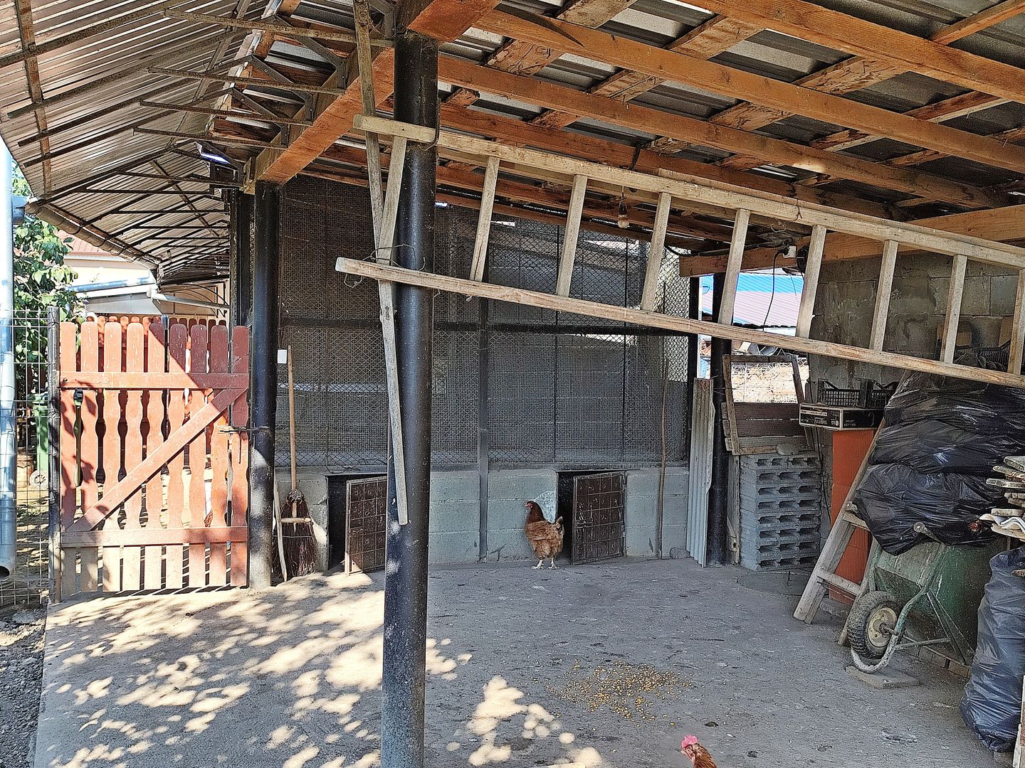 Casa la tara in Sacadat, Bihor, teren 2826 mp, acces auto - Vanzare - Poză 15