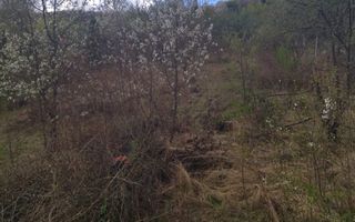 Casa P+M 3 camere 110 mp-teren 1400 mp-Zona Valea Jelnei - Poză 15