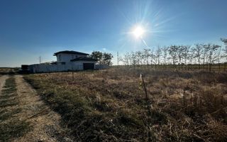 INTRAVILAN ,UTILITATI | com Berceni If - Poză 1