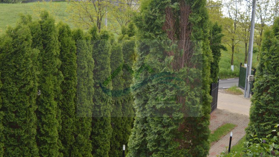 Casă/Vilă Hagigadar Suceava - Poză 50