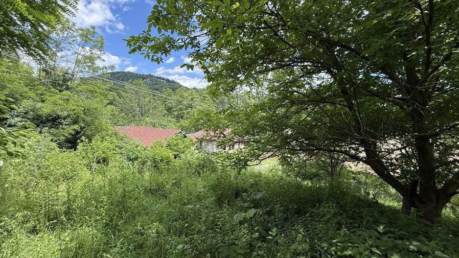 Teren intravilan 1859 mp Plaiu Provita de Sus la asfalt ! - Poză 11