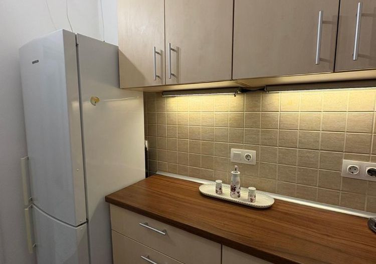 Apartament  Grădina Icoanei // Dionisie Lupu - Poză 7