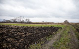 Loturi de teren, suprafete intre 467 si 535 mp, PUZ, Stupini, Albinelo - Poză 11