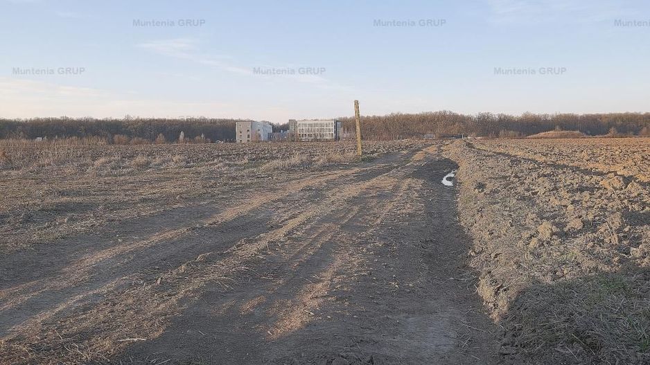 SNAGOV, langa Casa Vlasia, 3.500 mp. teren cu posibilitate pana la 7.000 mp. - Poză 6