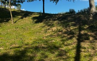 TEREN INTRAVILAN,  SUPRAFAȚA 3446 MP, BUGHEA DE SUS, ARGES - Poză 23