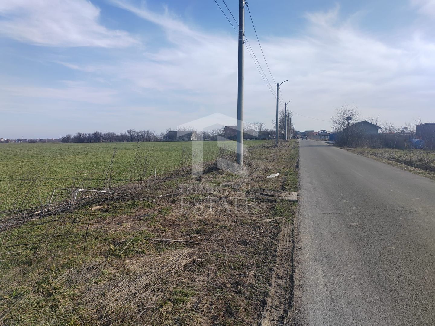 Cernica Tanganu  Parcele 1023 mp  la 17.000 euro - Poză 2