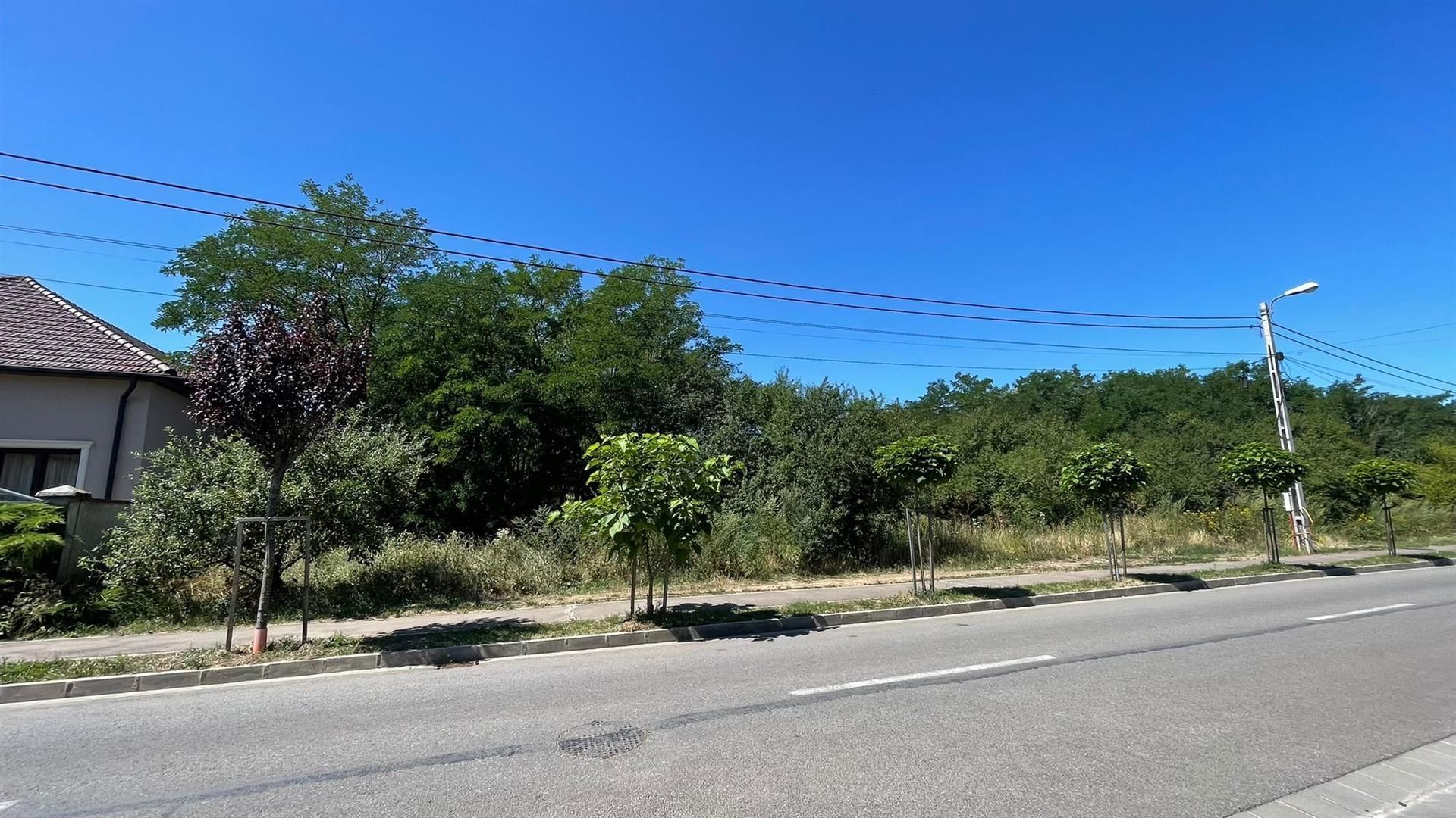 TEREN INTRAVILAN ONCEA 3000MP - Poză 1