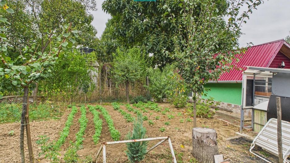 Căsuță de vacanță pentru pescari în Lipova - Poză 11