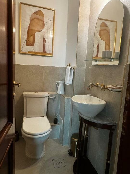 BRASADAS închiriază Penthouse cu terasa la Parcul Circului. - Poză 5