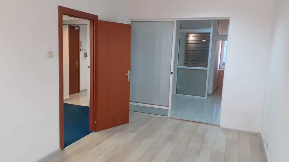 Spatiu birouri- Ion Mihalache- Ciuperca-Expozitiei - Poză 5