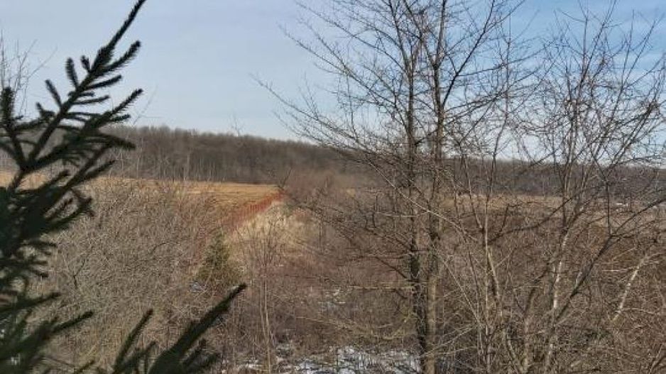 Teren la 35 km de Bucuresti - Izvorani - Ciolpani - Poză 11