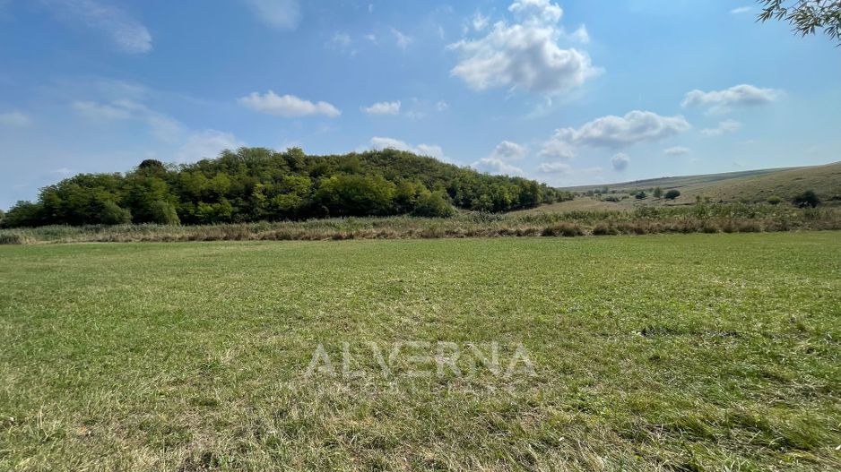 COMISION 0% | Casa Individuala | 5 Camere | Teren 550 Mp | Zona Dezmir - Poză 12