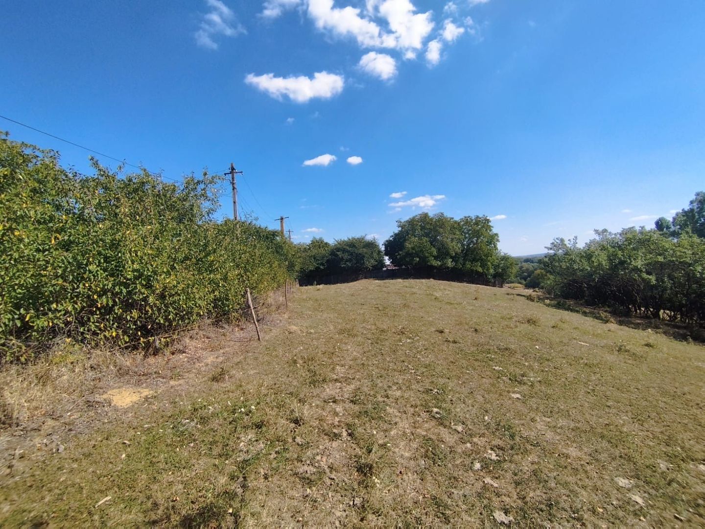 Teren intravilan | Mănăstioara – Siret | 2.200 mp - Poză 3