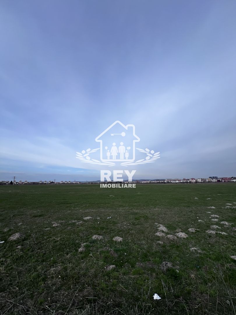 Teren Arabil Turnișor - Spre ferma de pui - Poză 4