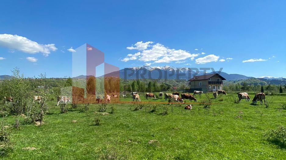 Teren Bran/ Predelut 10.663 mp. - Poză 1