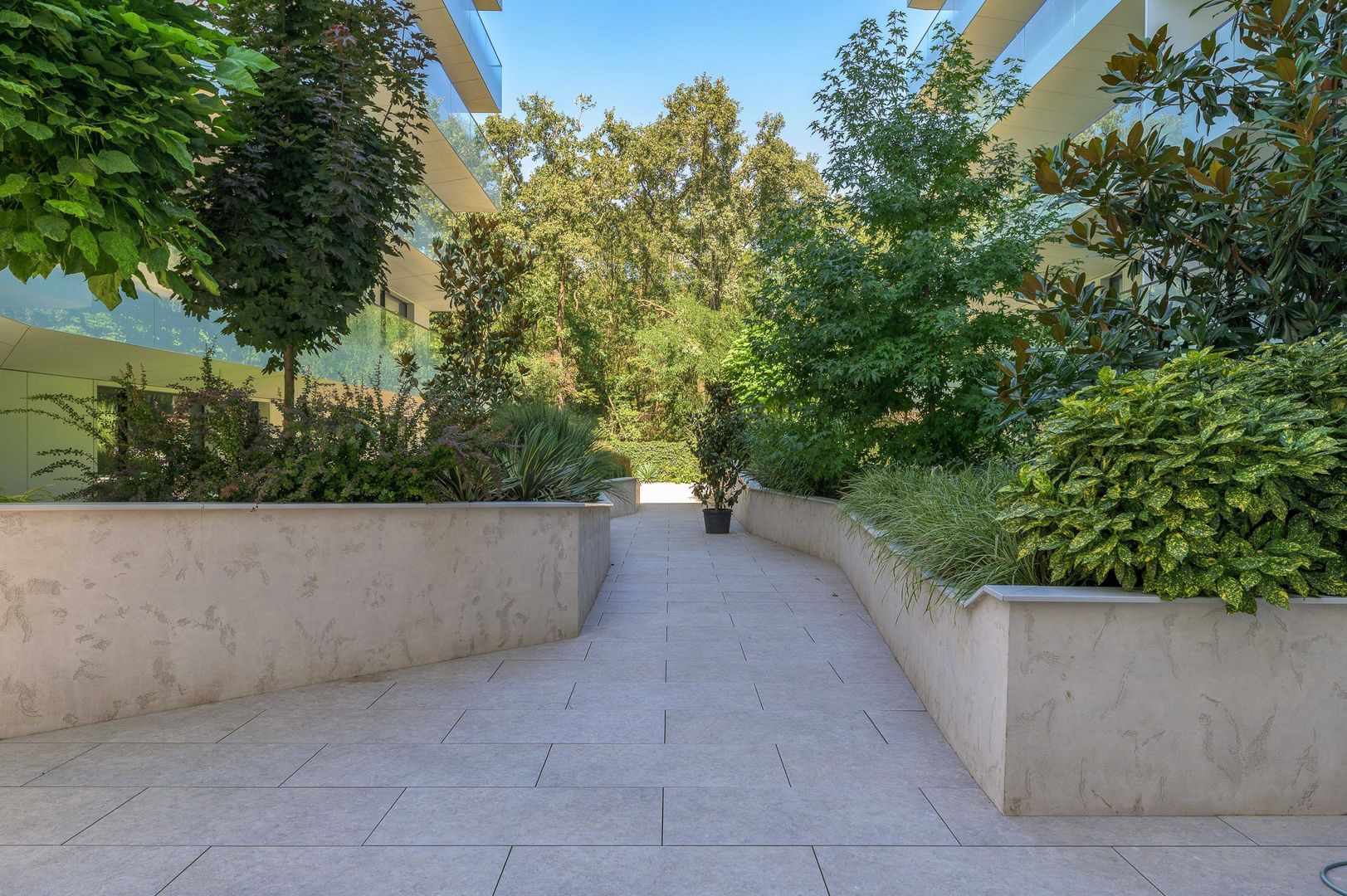 Pines Residence - Poză 6