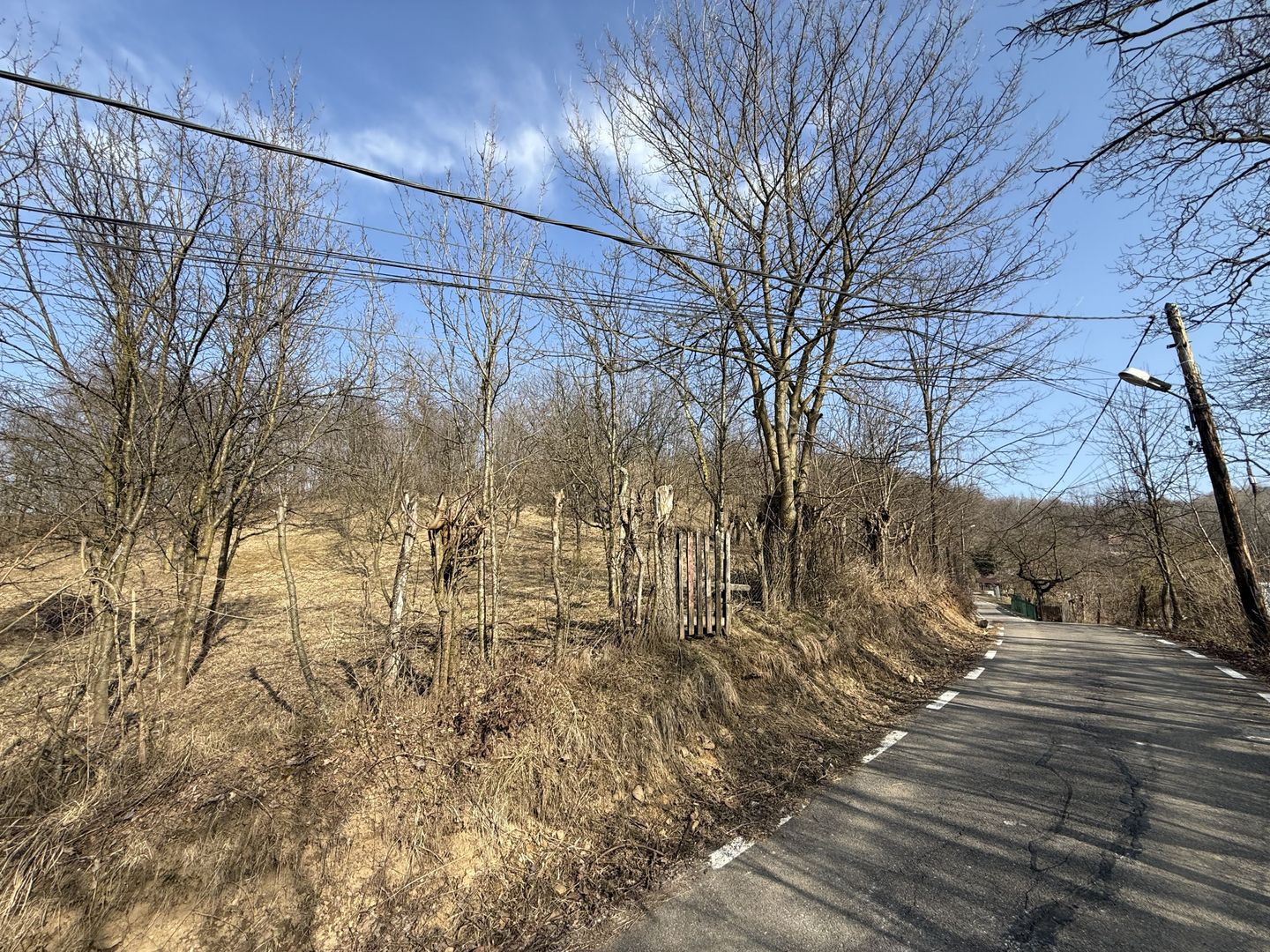 Teren intravilan 2788 mp deschidere 55 ml cu vedere panoramica ! - Poză 13