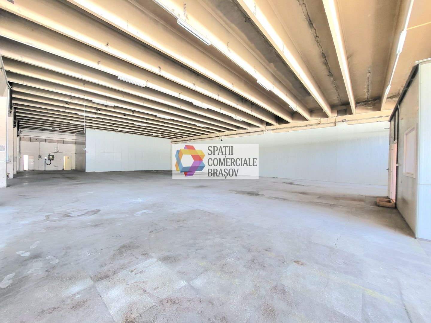 Spatiu industrial - 1229 mp  # plus-imo.ro - Poză 4