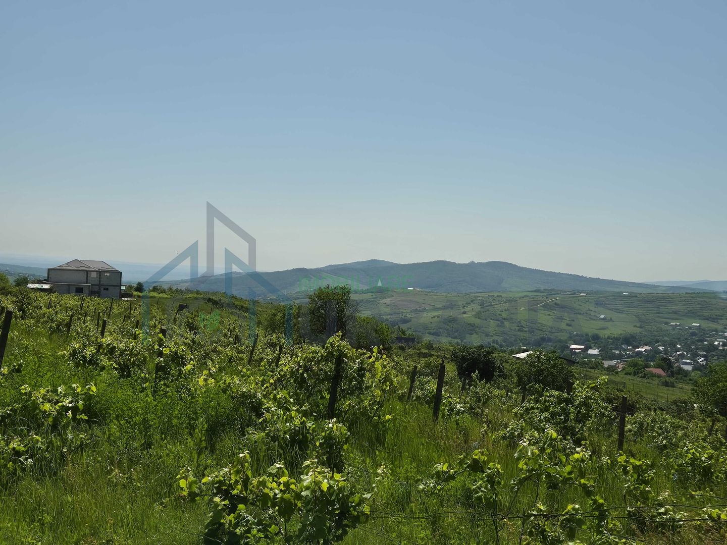 Teren intravilan Tomești-Goruni - Poză 1