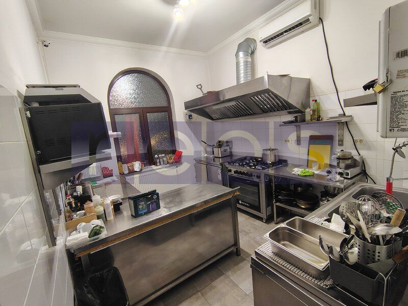 VILA EXCEPTIONALA PARCUL CAROL |  5 STUDIOURI | SPATIU HORECA FUNCTIONAL | - Poză 4