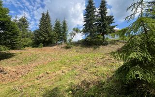 Teren intravilan 1074 mp cu utilitati-ideal pensiune, cabane-Colibita - Poză 1