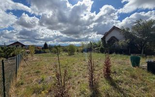 Teren intravilan - Daia Noua - 1000 MP - Poză 2